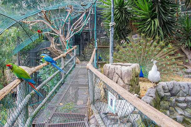 istock Animal rescue Maroparque at La Palma 2217757021