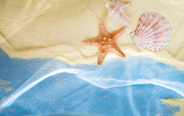Top view of a starfish and assorted seashells resting on a yellow sandy beach with clear blue water. A bright and summery scene ideal for travel, vacation, relaxation, and coastal-themed designs. Conceptual representation of tropical holidays or seaside memories.