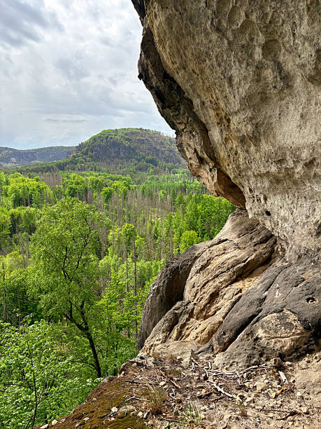 istock Stone cliff with view of green mountain forest below. Nature background. 2217771019