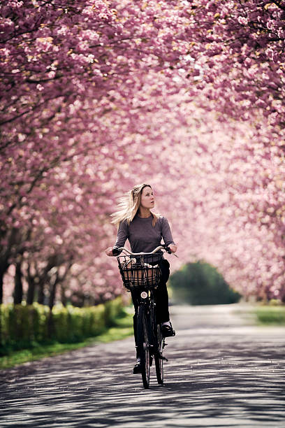 A twenty-year-old confident young woman riding her retro-style bike through an avenue of blooming cherry blossom trees. She is wearing a grey sweater and black trousers, and has a pale complexion with long, chestnut-coloured hair.