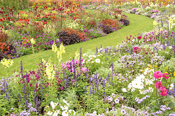 istock Beautiful flower garden in summer 2217775402