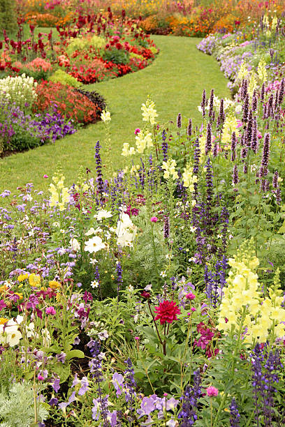 istock Beautiful flower garden in summer 2217775456