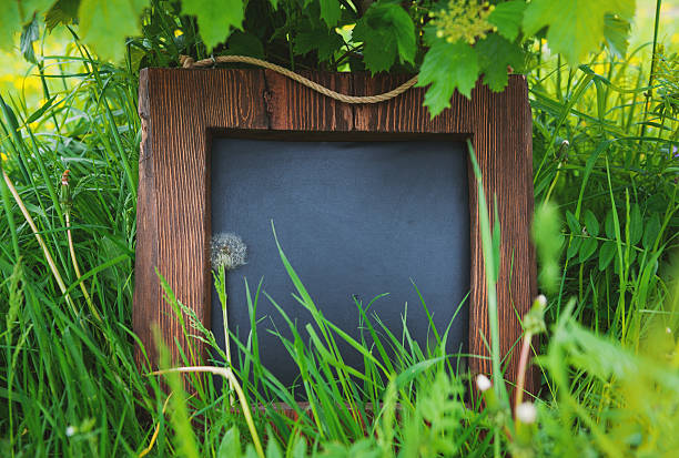 istock Rustic wooden empty chalkboard leans on tree in green grass 2217776881