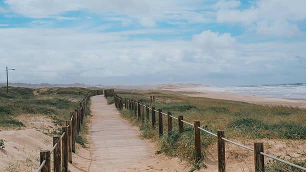 istock Wooden boardwalk path leading to a serene sandy beach with grassy dunes on both sides 2217778794