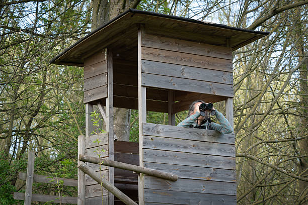 Middle-aged woman using binoculars from a wooden birdwatching tower in a spring forest.