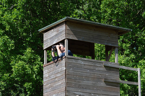A middle-aged man uses binoculars to observe birds from a tall wooden bird hide surrounded by lush green trees.
