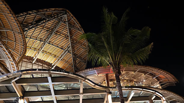istock Modern Architectural Design with Palm Tree at Night, Showcasing Unique Roof Structures 2217782148
