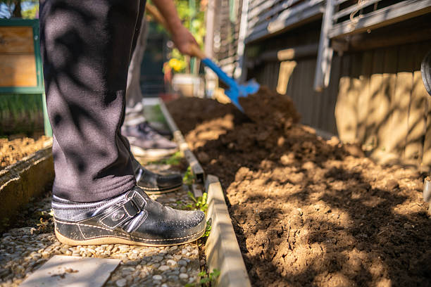 Elderly man using a shovel to overturn soil which hardened and old