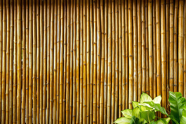 istock Old brown tone bamboo plank, fence texture for background. 2217795575