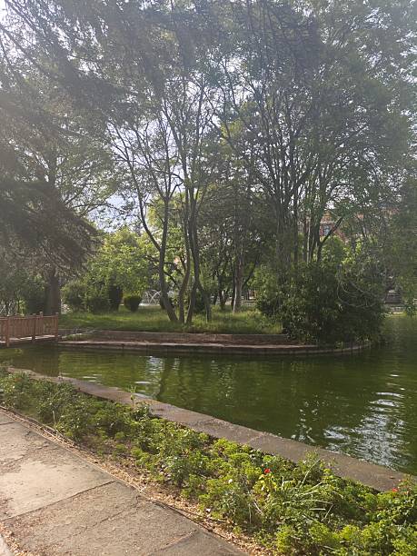 istock Scenery photoshoot in park 2217802981