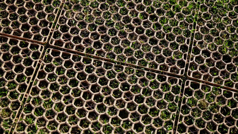 Close-up view of interlocking hexagonal grid pavers with green grass growing through the openings, highlighting patterns and natural integration in surface design.