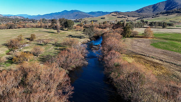 istock The Kiewa River at Gundowring passing through farmland 2217805982