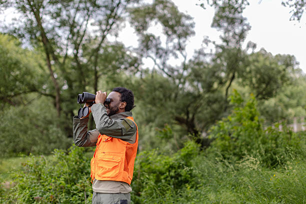 istock Curious young adult birdwatcher enjoys nature while exploring the forest with binoculars 2217806349