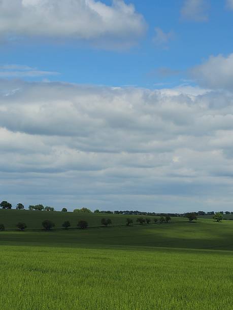 istock A grassy field with trees in the background 2217807361