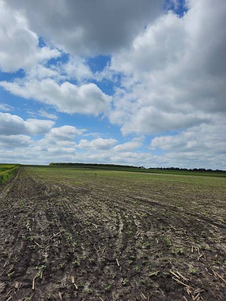 istock A field with dirt and grass 2217807372