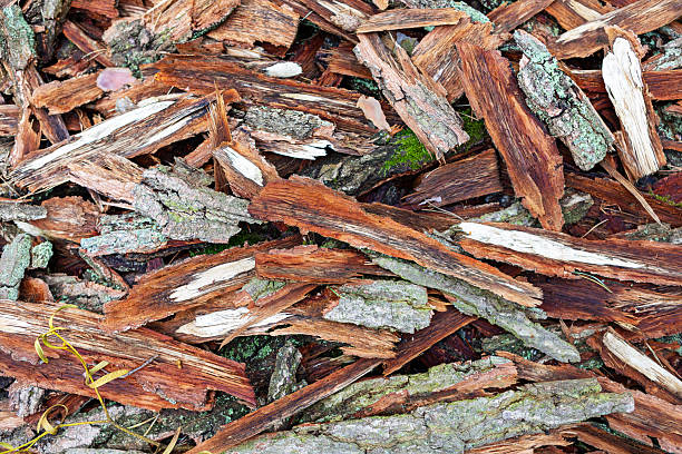 Freshly chipped wood chippings used for bedding, gardening and mulching. Brown, natural and organic.