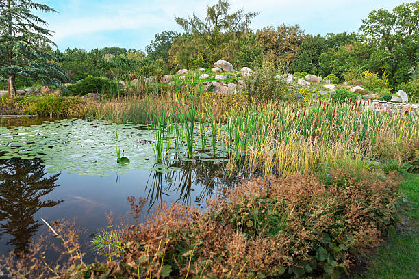 country house and garden and pond