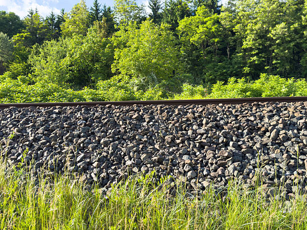 istock Railway tracks with lush greenery and rocks in a forest setting 2217809966