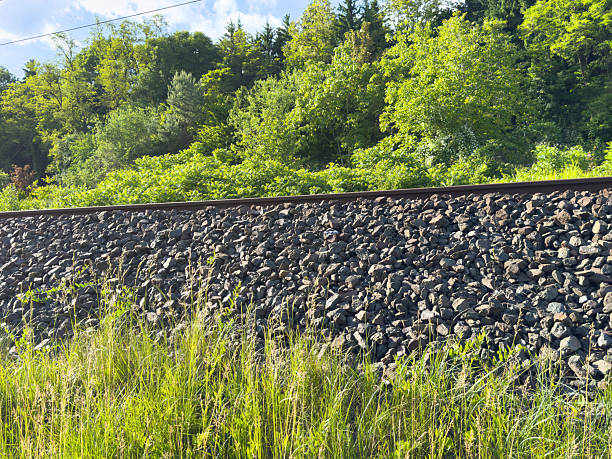 istock Railway tracks amidst lush green forest with clear sky 2217809974
