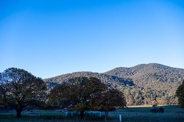 istock Rural views in regional Victoria 2217810114