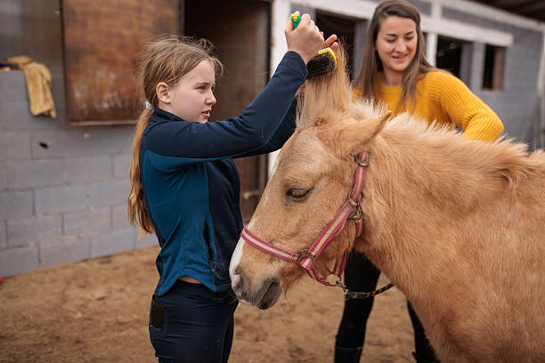 Young girl and her big sister showing love and responsibility as they groom a friendly horse outdoors in the fresh air of the horse ranch.
