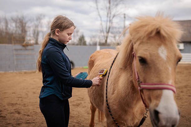 Close up shot of horse being injected by syringe  into mouth with worming medication.