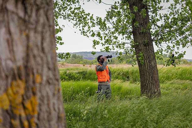 istock Young man enjoys bird watching in a peaceful forest setting while exploring nature on a weekend adventure 2217811859