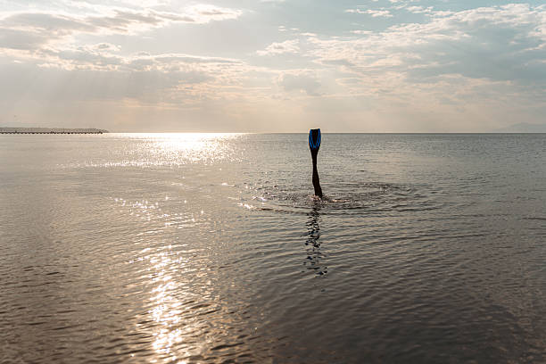 A swimmer's leg emerges adorned with a flipper in tranquil water against a gentle sunset backdrop, evoking themes of serenity and adventurous undertones.