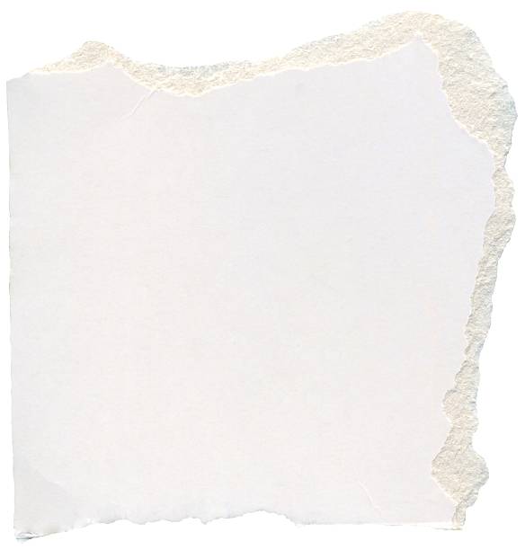 istock Ripped carton scrap. White, cream, beige, pale, ivory paper texture piece. Perfect for adding texture and vintage appeal to projects 2217813901