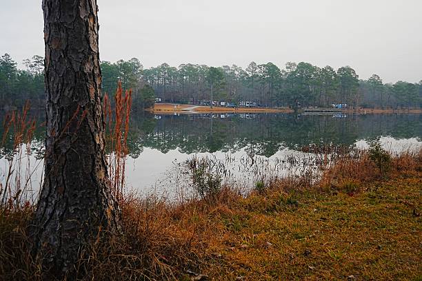 istock Blackwater River State Forest and South Karick Lake Recreation Area Florida 2217816903