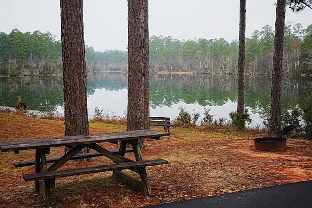 istock Blackwater River State Forest and South Karick Lake Recreation Area Florida 2217816944