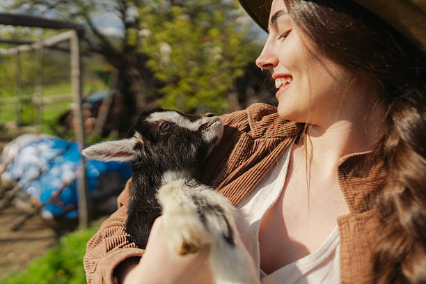 Photo showing an affection between young woman and baby goat, on a goat farm she is running