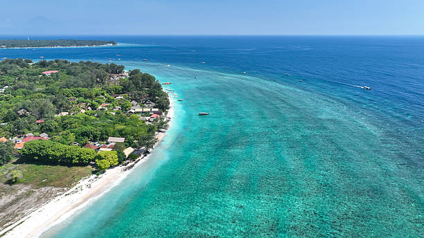 istock A aerial of a coral cay island surrounded by shallow reef and deep blue water 2217825607