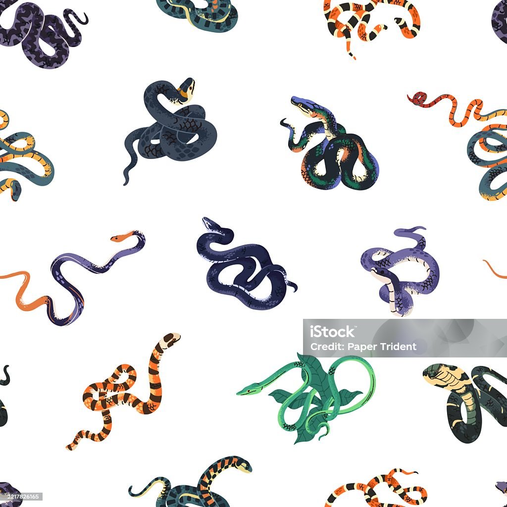Repeatable Pattern Of Different Snakes Endless Background Of Poisonous ...