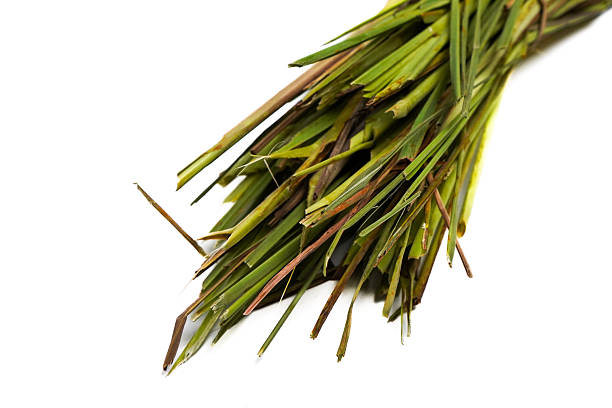 istock Bunch of Lemongrass Stalks on White Background 2217828789