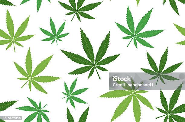 Weed Pattern Vector Marijuana Seamless Pattern 1 Stock Illustration - Download Image Now ...