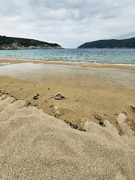 istock Coastal view with calm waters and sandy beach under overcast sky in a tranquil setting at village Kalamitsi on Sithonia peninsula, Greece 2217832910