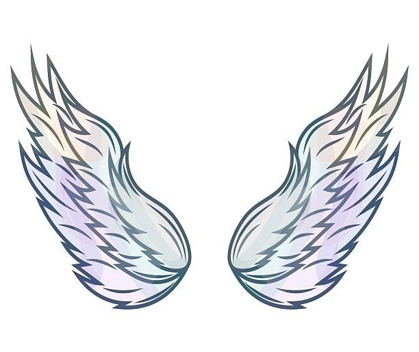istock Watercolor wings sketch isolated on white background. Hand drawn vector wing in open position. Design elements in coloring style. 2217833746