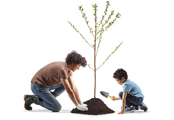istock Father and son kneeling and planting a tree 2217835073