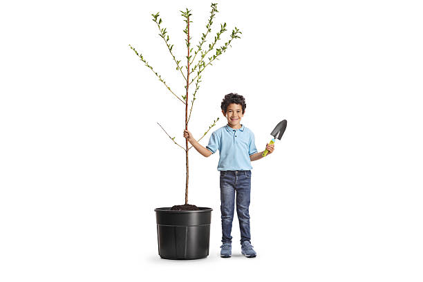 istock Kid holding a spade and standing next to a young tree 2217835407