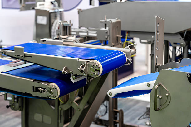 Automated conveyor with sorting and weighing function for small business production