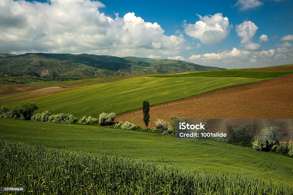 Layered And Wavy Hillside Fields Stock Photo - Download Image Now ...
