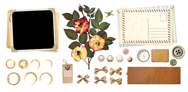istock Collection of vintage elements for scrapbooking. Nostalgic sentimental assortment: retro photo, linen bow, dry pressed flower, buttons, postcard, envelope, paper tag. Isolated on white background 2217848495