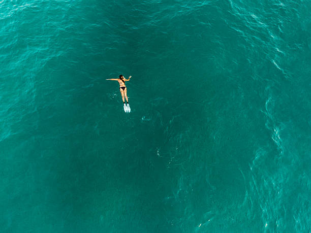 istock The Perfect Place For A Swim 2217855945