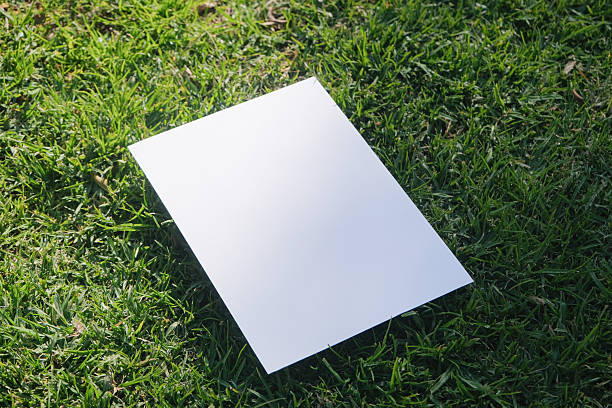 istock Mockup blank poster on green grass background 2217857980