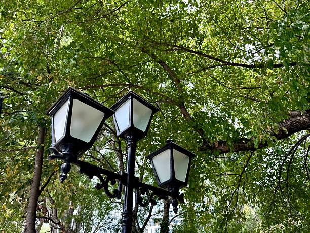 istock Tirana street lamp 2217861924
