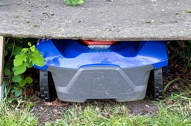 istock Automatic Electric Lawn Mower Sheltered in Wooden Cover 2217869154