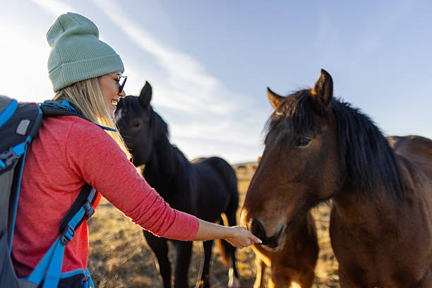 istock Woman hiker and a horse 2217877634