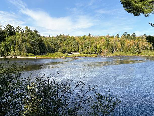 istock Tahquamenon Falls State Park, Michigan 2217879193
