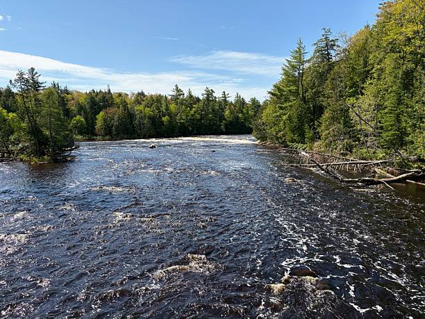 istock Tahquamenon Falls State Park, Michigan 2217880198